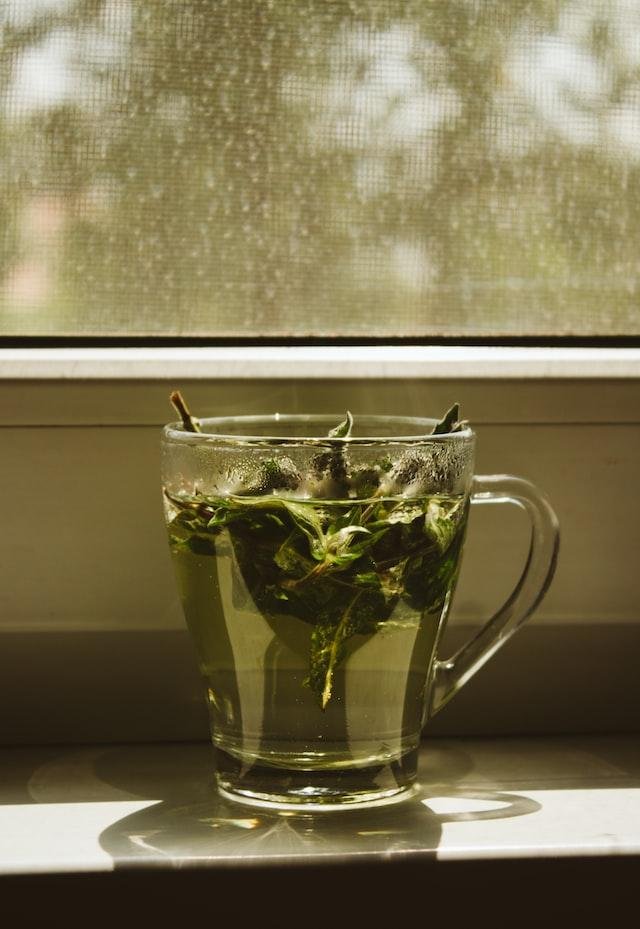 Is Green Tea Good For Inflammation- Reality Or Myth 3