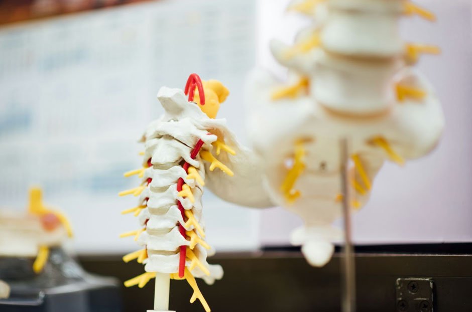 The Connection Between Spine Health, Bodycare, and Preventive Healthcare