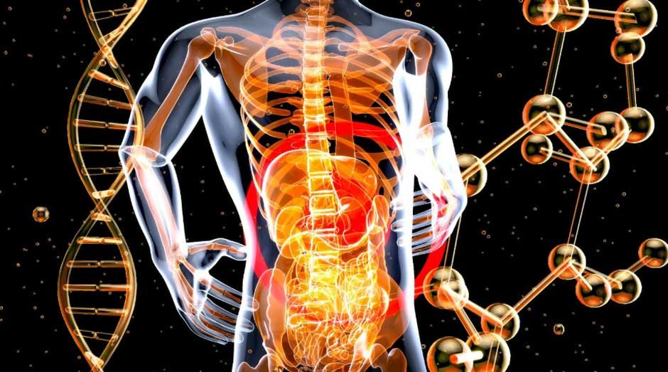 The Connection Between Spine Health, Bodycare, and Preventive Healthcare