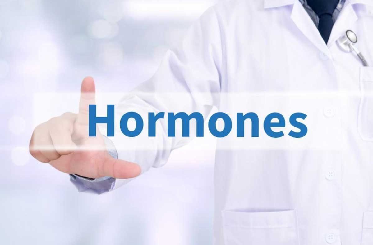 Bioidentical Hormones: What They Are and How They Work