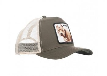 Pitbull Cap Review