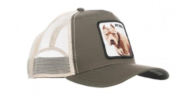 Pitbull Cap Review