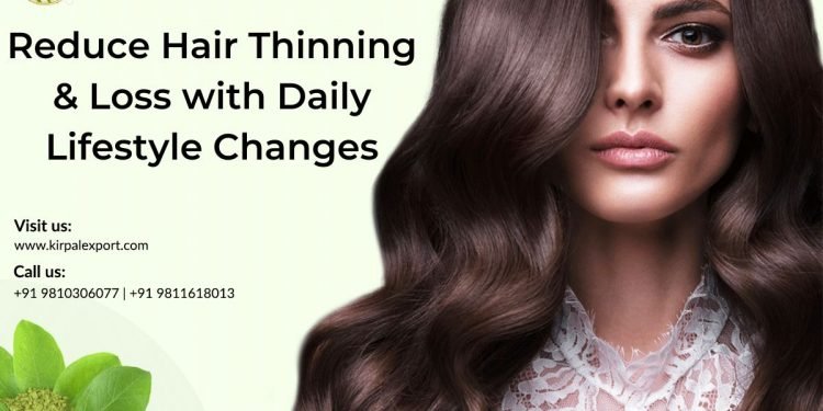Reduce Hair Thinning & Loss with Daily Lifestyle Changes