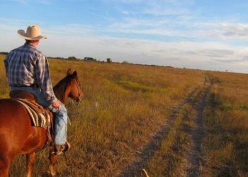 A Beginner’s Guide To Living The Ranch Life In Texas