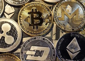 Whats the Best Crypto to Invest In