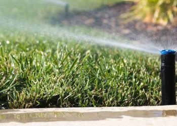 How Garden Design Affects the Longevity and Performance of Plumbing Systems