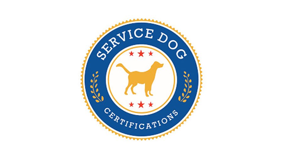 Rules and Regulations for service dog owners 2