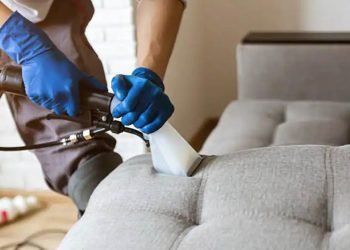 Why Upholstery Cleaning Should Be on Your Home Upkeep Checklist