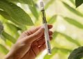 A Guide to Finding the Perfect Raw Garden Vape Pen