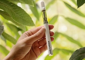A Guide to Finding the Perfect Raw Garden Vape Pen
