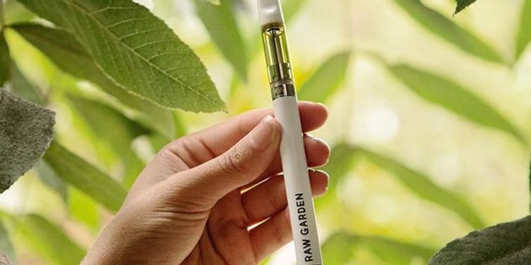 A Guide to Finding the Perfect Raw Garden Vape Pen