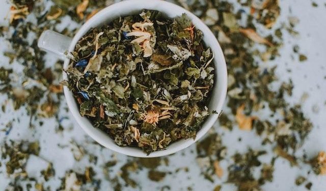 Is Green Tea Good For Inflammation- Reality Or Myth 2