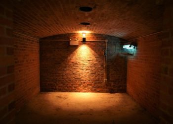 Maximizing Your Basement Space