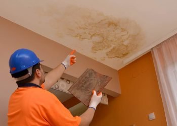 Mold on the Ceiling From a Roof Leak