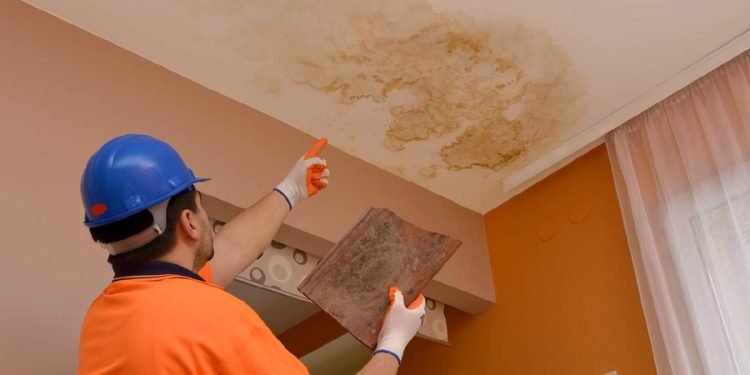 Mold on the Ceiling From a Roof Leak