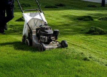 Simple Lawn Mowing Tips Every Homeowner Should Know