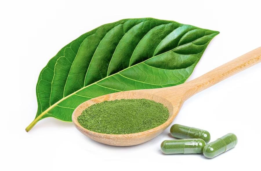 Top 5 Rules for Traveling with Kratom in 2023 2