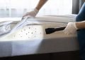 Exterminator For Bed Bugs