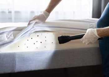 Exterminator For Bed Bugs