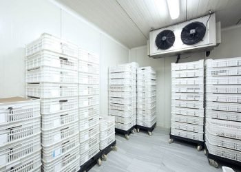 Freezer Room Hire Is Better Than Buying Commercial Freezers