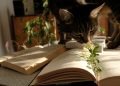 Pets in the City How to Make the Most of Your Studio Apartment (2)