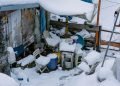 The Hidden Dangers of Hoarding and How Junk Removal Can Help