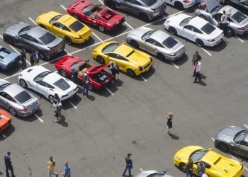 buying a car at auction
