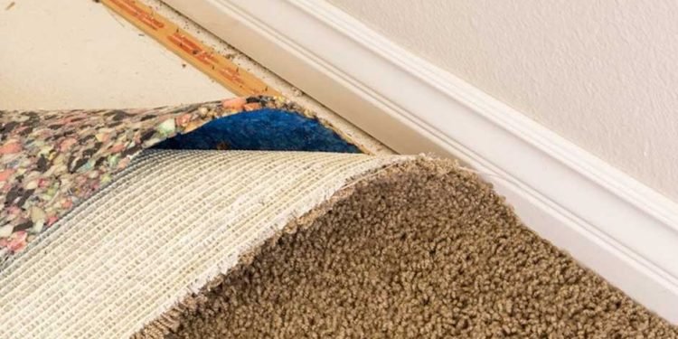 Addressing Mold And Mildew Growth In Carpets