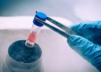 Egg Freezing