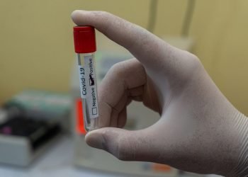 How To Choose The Right Cord Blood Bank For Your Family