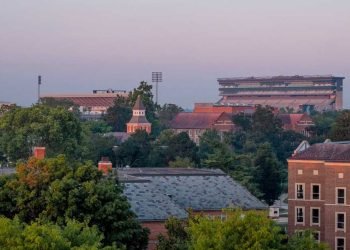 Why a Settlement Plan is Crucial for Long-Term Financial Stability