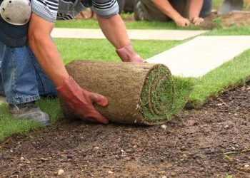 The Importance of Landscapes in Our Lives and Communities