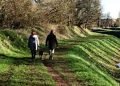 The-Significance-of-Consistent-Exercise-for-Your-Dog's-Health-and-Happiness