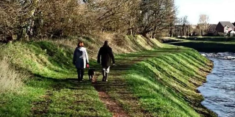 The-Significance-of-Consistent-Exercise-for-Your-Dog's-Health-and-Happiness