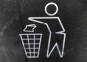 A Smart Business Owner's Guide to Choosing the Right Rubbish and Recycling Bin