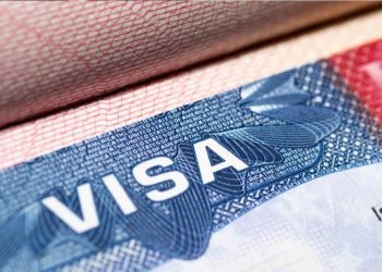 H2A Visa Sponsors