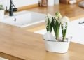 Timber Benchtops