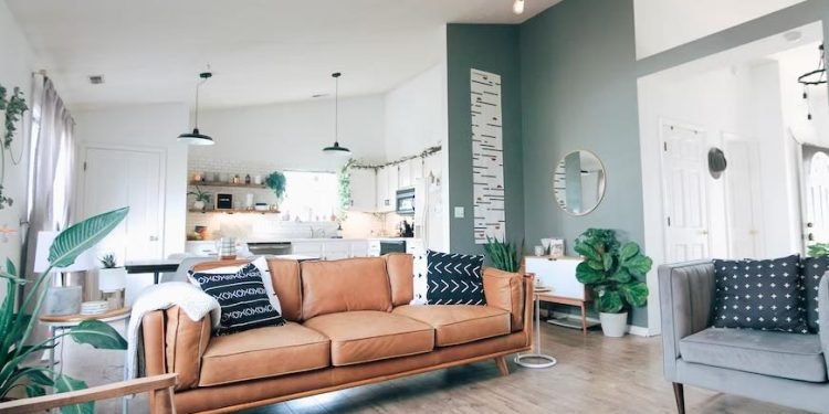 Why You Should Never Ignore a Pest Problem in Your Home