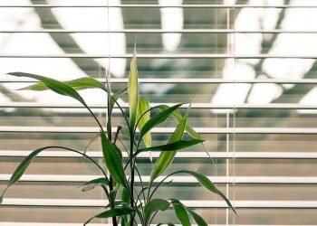 Window Treatments Decoded