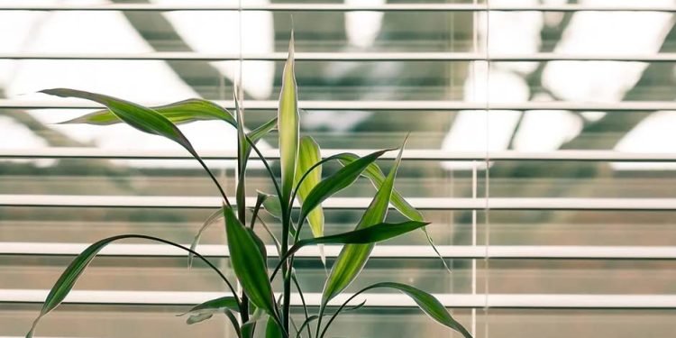 Window Treatments Decoded