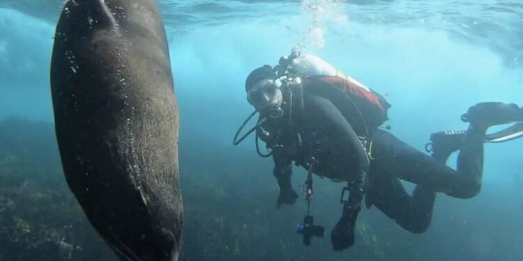 Best Dive Spot in Sydney