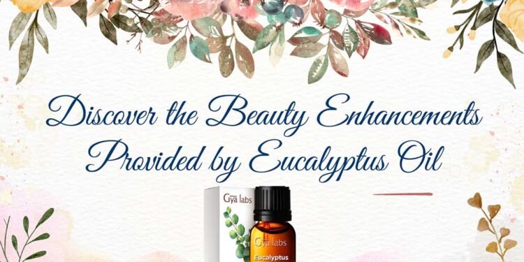 Discover the Beauty Enhancements Provided by Eucalyptus Oil