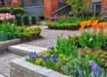 garden renovation