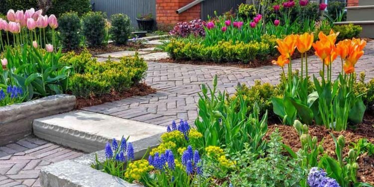 garden renovation