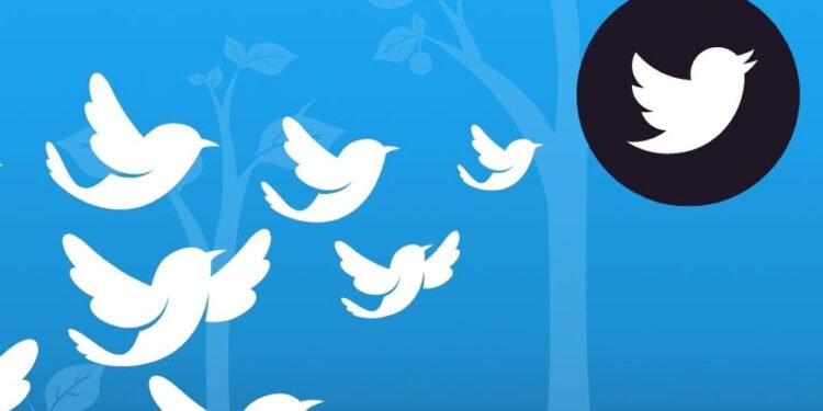 increase Twitter followers