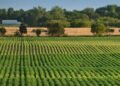 A Guide To Regenerative Farming Practices