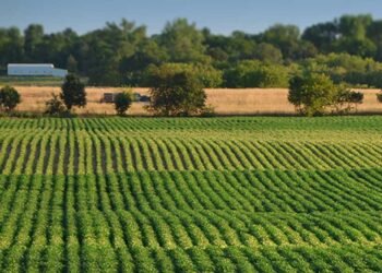 A Guide To Regenerative Farming Practices