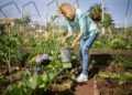 15 Tips for Nurturing Your Garden
