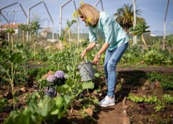 15 Tips for Nurturing Your Garden
