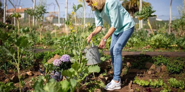15 Tips for Nurturing Your Garden
